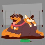 embarazo psicologico en perros