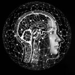 Tipos de inteligencia emocional