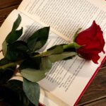 poemas cortos