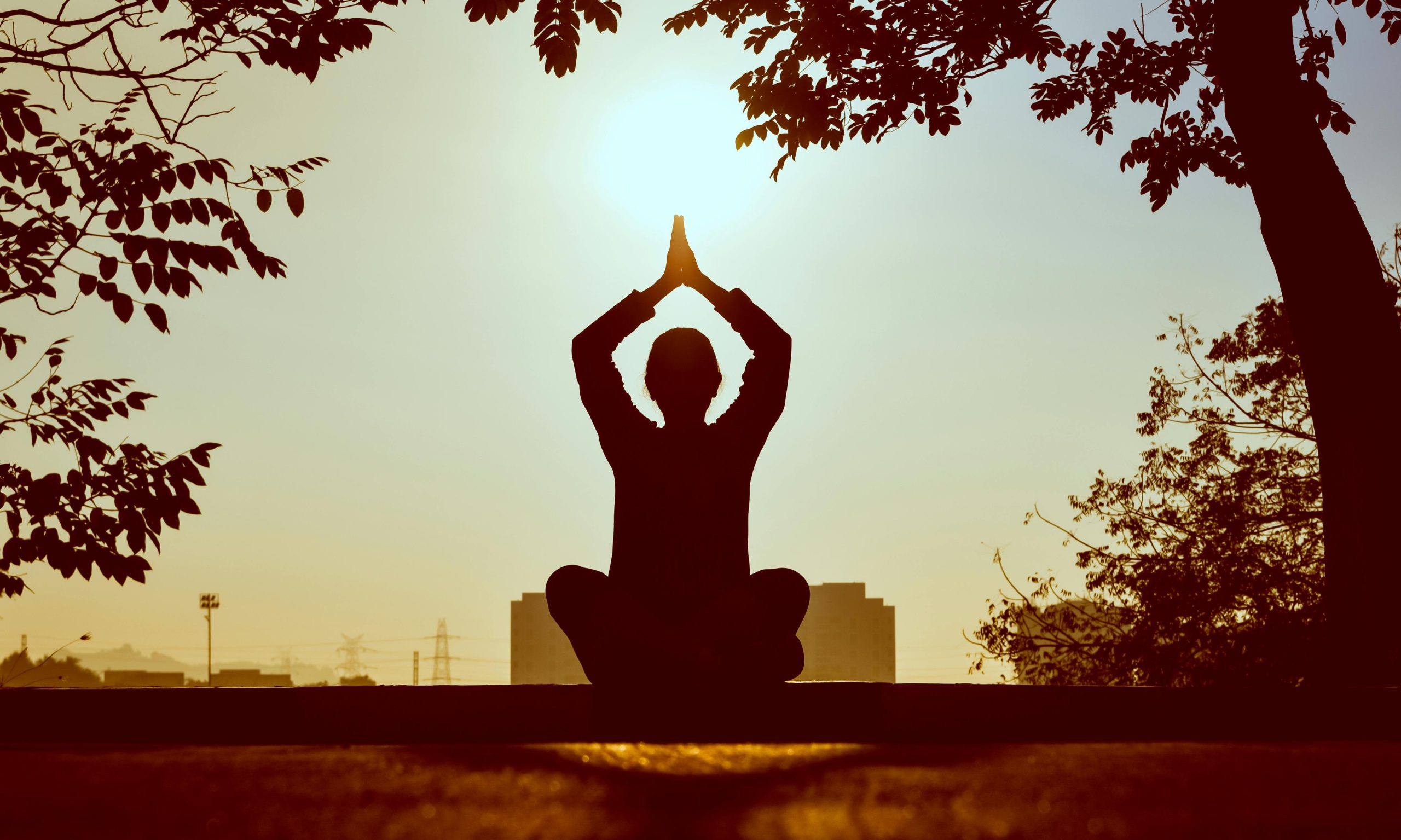 Meditaciones trascendentales
